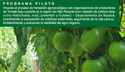 Protocolos y Glosario Sistematización de proceso para promover Prácticas Agroecológicas